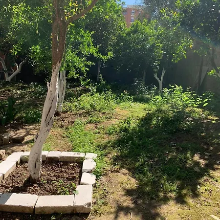 Hortus Aurantii Tirana